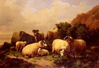 Verboeckhoven, Eugene Joseph - Sheep Grazing By The Coast